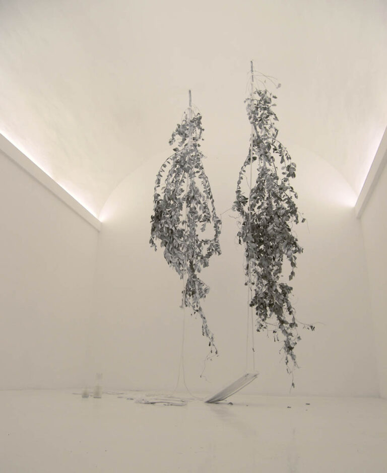 Installation view, V.J.300: Portrait of Angus Fairhurst, laurus nobilis, rope, wood, glass, milk, 400x200x200cm, at Akneos, 2009.